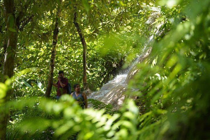 Chiang Mai:Sticky Waterfall Adventure and Bua Tong Huge Cave Tour - Frequently Asked Questions