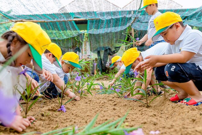 Cooking Class Hoi An - Organic Garden - Farming Tour - Authenticity and Guest Feedback