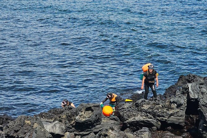 Customized private tour in Jeju island - Who Should Consider This Tour?
