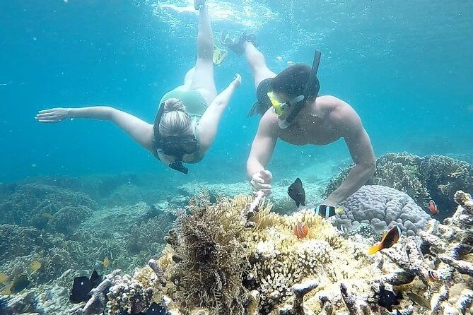 Day Trip Secret Island West Of Lombok - Who Is This Tour Best For?