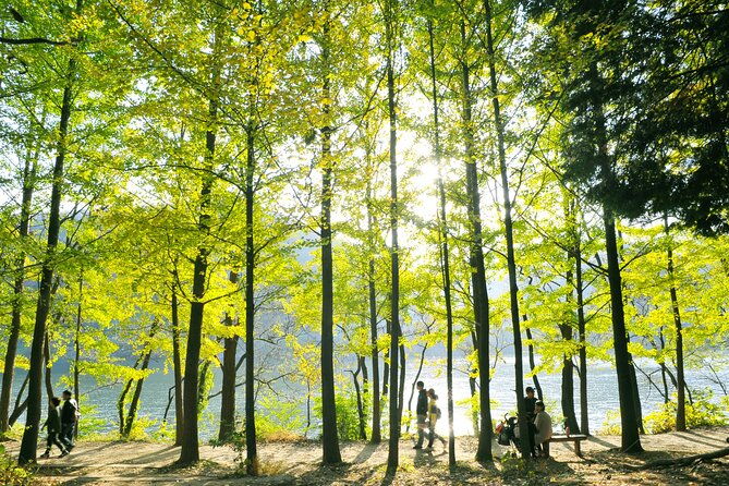 Day Trip to Nami Island with Rail bike and The Garden of Morning Calm - Who Will Love This Tour?