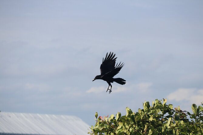 Day Trip to Phnom Kulen Mountain from Siem Reap - FAQ