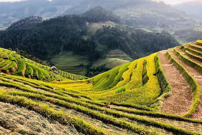 Discover the Beauty of Sa Pa: A One-Day Trek - The Value of This Tour