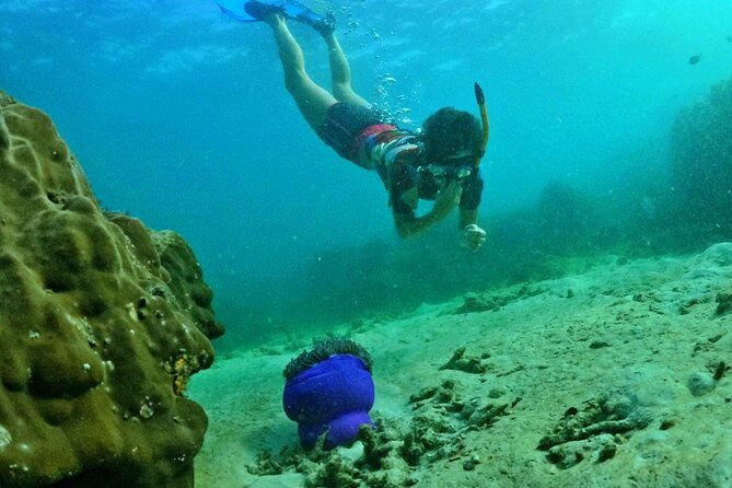 [DISCOVERY SNORKELING] 4 Islands-2 Reefs & BBQ [MAX 12 PAX] - FAQ  