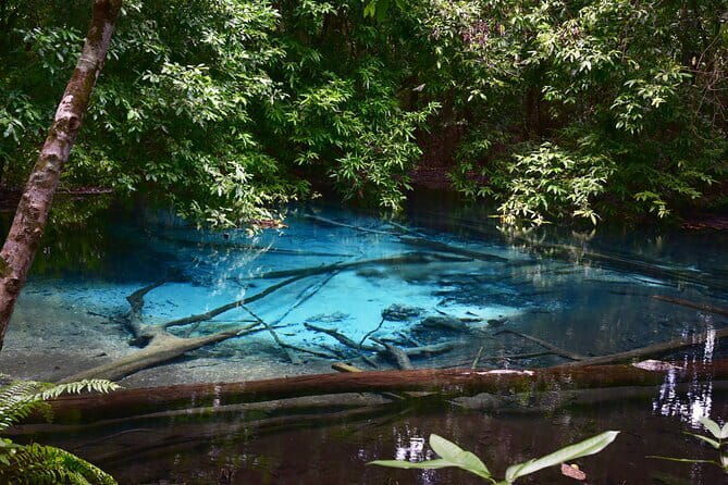 Dragon Crest Sunrise Hike and Klong Root Kayaking Private Tour - Practical Considerations and Tips