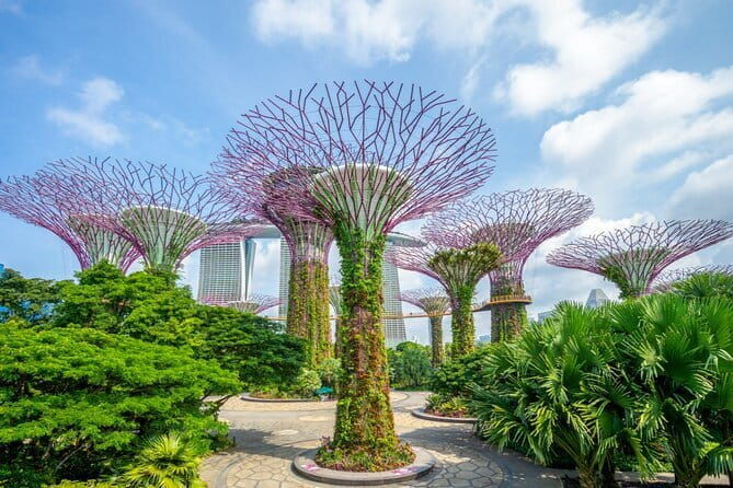 eSIM 4G/5G Data for Asia 8 Areas Singapore Thailand MY VN HK TW - The Sum Up