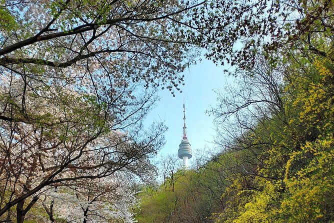 Essence of Seoul, Full Day City tour - FAQ