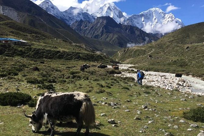 Everest Base Camp Helicopter Tour landing at Everest View Hotel - FAQs