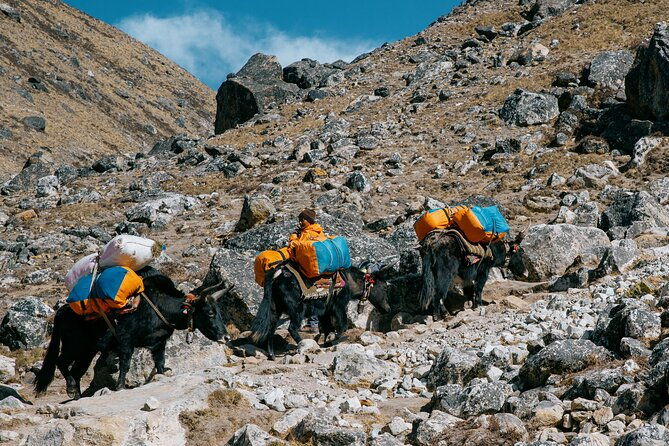 Everest Base Camp Trek - 14 Days - FAQs