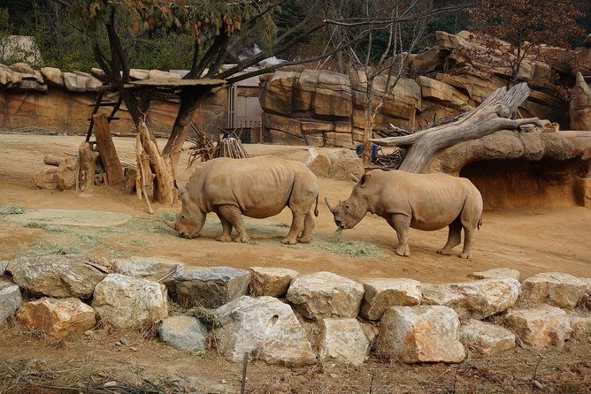 EVERLAND "From Hotel to Hotel" [Premium Private Tour: Only One Group for You] - FAQ