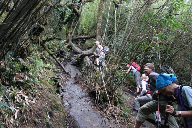 Fansipan Trek One Day Tour  Roof of Indochina - FAQ