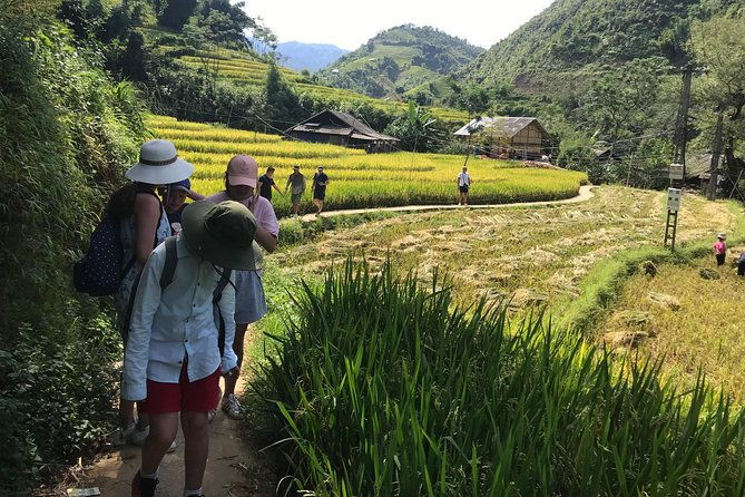 From Hanoi: 3 Days Luxury Sapa Trek & Fansipan Peak with Dcar - FAQs