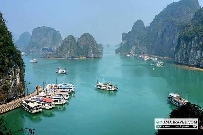 From Hanoi: Halong Day Cruise Highlight With 3*/4*/ 5* Options - What’s Included & What’s Not
