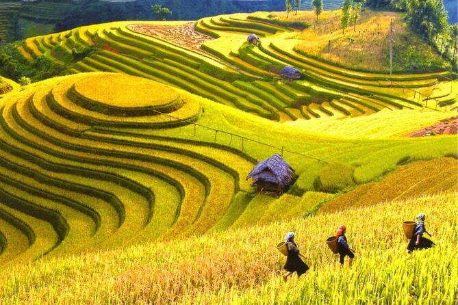 From Hanoi : Sapa Moutain Trek - Halong bay Heritage - Final Thoughts: Is This Tour Right for You?