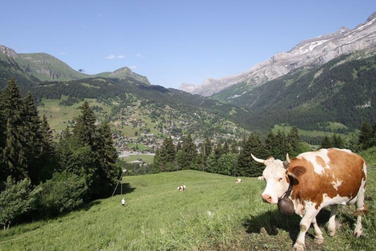 From Lausanne: Glacier 3000 experience and Montreux - Final Words