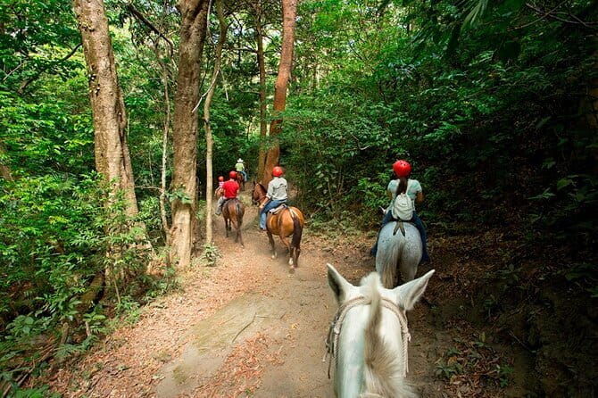 Full Day Adventure Tour - Who Is This Tour Best For?