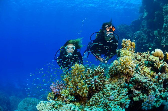 Full-Day Beginner Scuba Course with Private Tuition, Racha Yai - FAQ