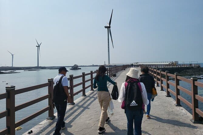 Full Day Jeju Private Customizable highlight Tour - The Sum Up