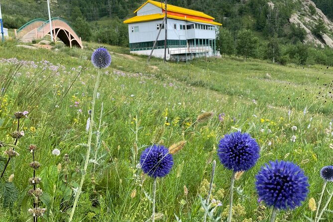 Full Day Private Tour in Terelj National Park with Horse Riding - Summary: Who Is This Tour Best For?