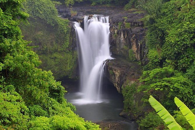 Full Day Tour to Water Temples UNESCO Rice Terraces in Bali - FAQ