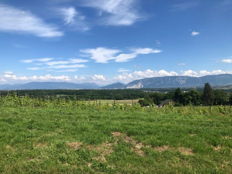 Geneva: Countryside and Wine tasting by E-Bike - Value and Overall Impression