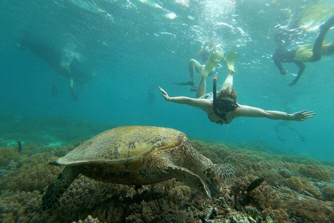 Gili island Snorkeling Half Day Trip departure from Gili Trawangan - The Sum Up