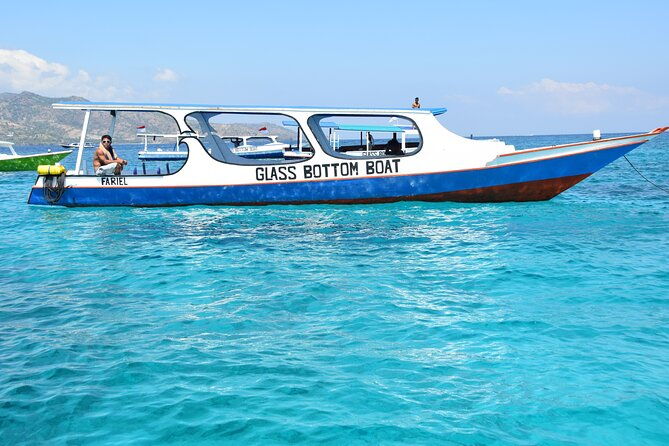 Half-Day Private Guided Snorkeling Turtles Underwater Statues - FAQ