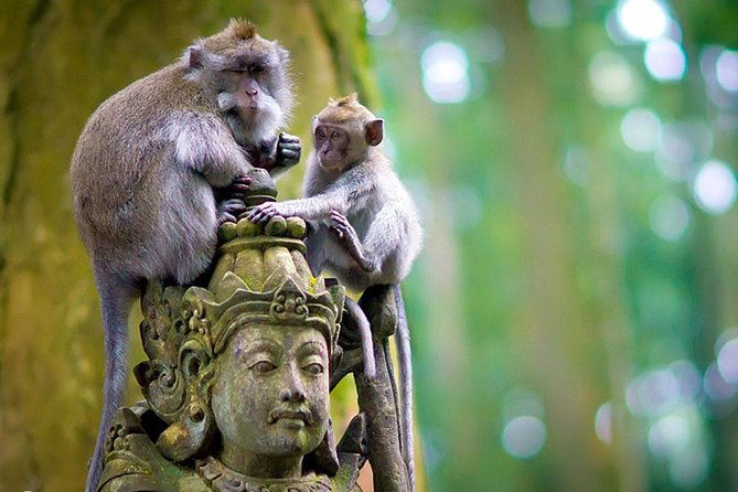 Half Day Ubud Tour: Ubud Unique Spots - Final Words