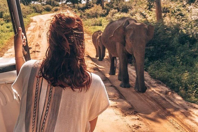 Half Day Udawalawe Safari (Entrance + Lunch) - Frequently Asked Questions