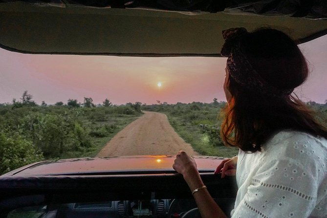 Half Day Udawalawe Safari from Kalutara (Entrance + Lunch) - The Sum Up