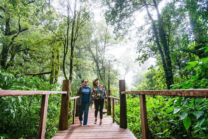 Hike to the Highest Spot + Waterfall in Chiang Mai - FAQ