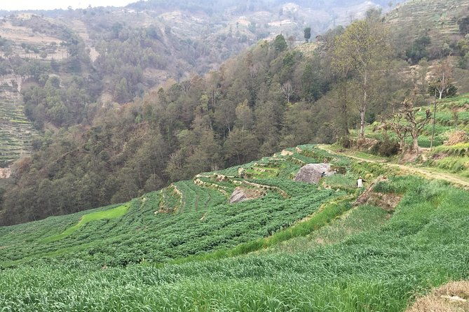 Hiking & city tour in Kathmandu with community Volunteering - The Sum Up