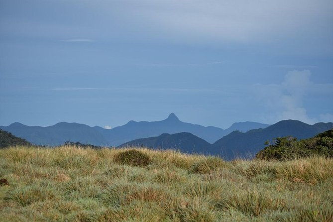 Horton Plains National Park Entrance Ticket with Guide - The Sum Up
