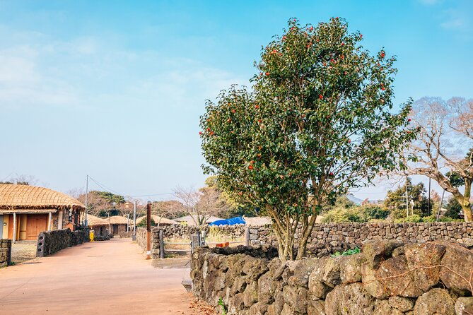 Jeju Eastern Must visit Unesco Bus Tour - Final Thoughts