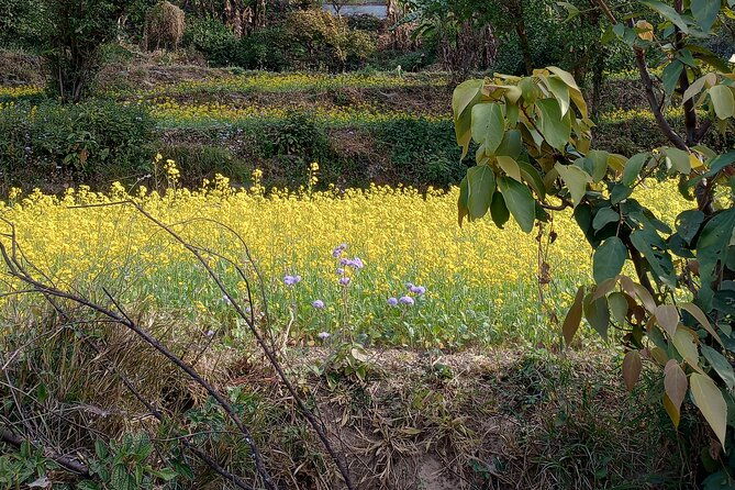 Kunjapuri Yoga Day Hike - FAQ