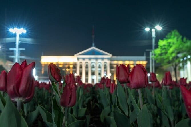 Kyrgyz Family Dinner: Meet, Eat, and Talk - Who Will Benefit Most?