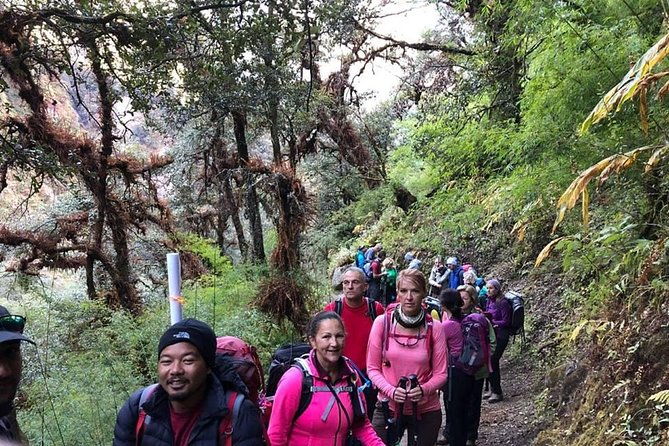 Langtang Valley Trek - Final Thoughts