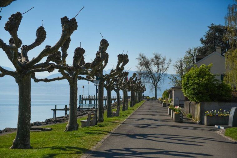 Lausanne, Montreux and Chillon: Private Trip from Geneva - Frequently Asked Questions