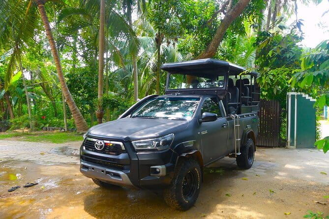 Leopard Half Day Yala National Park Eleven Safari - Who Is This Tour Best For?