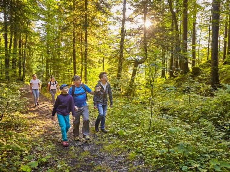 Lucerne: Guided hike on the Pilatus with barbecue experience - Final Words