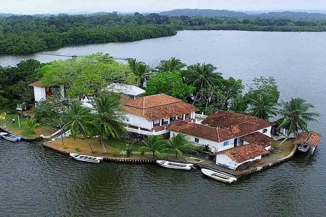Madu River Boat Safari Balapitiya - The Sum Up: Who Should Consider This Experience?