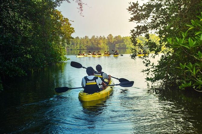 Madu River Sunrise Mangrove Kayaking from Colombo - Food and Refreshments