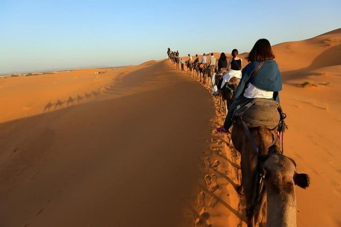 Marrakech: Buggy ride in the palm grove with tea break - The Sum Up