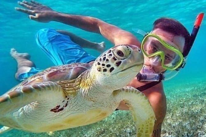 Mount Batur Sunrise Jeep Tour - Who Should Book This Tour?