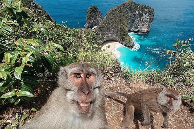Nusa Penida day trip: boat, 4 snorkeling, Manta rays & Land tour - Final Thoughts