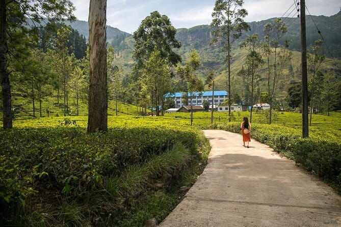 Nuwara Eliya Tours - Practical Details and Logistics