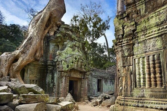 One Full Day Private tour of Angkor Wat, Ta Prohm, Angkor Thom & Banteay Srie - Comfort and Convenience