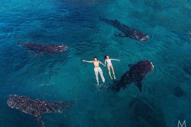 Oslob Whale Shark & Tumalog Waterfalls & Sumilon Sandbar - Authentic Insights from Reviewers