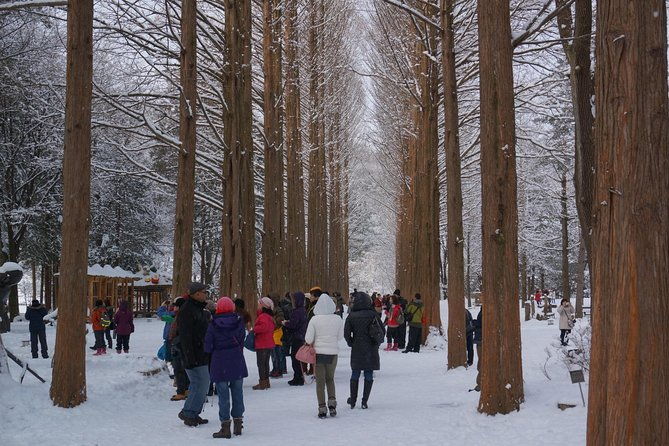 [Perfect Private Tour] Nami island, Petite France and Organic Strawberry Farm - The Sum Up