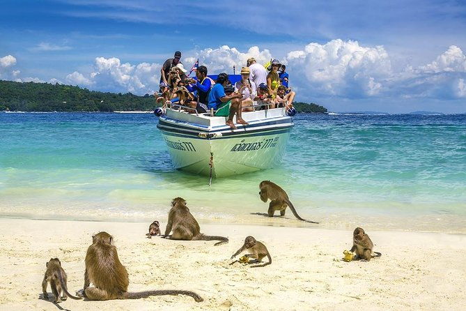 Phi Phi Island from Phuket by Speedboat (SHA Plus) - FAQ